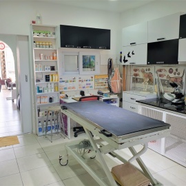 Foto Galeri