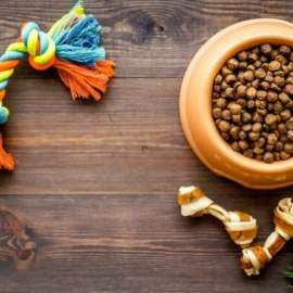 Pet Market