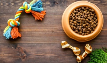 Pet Market